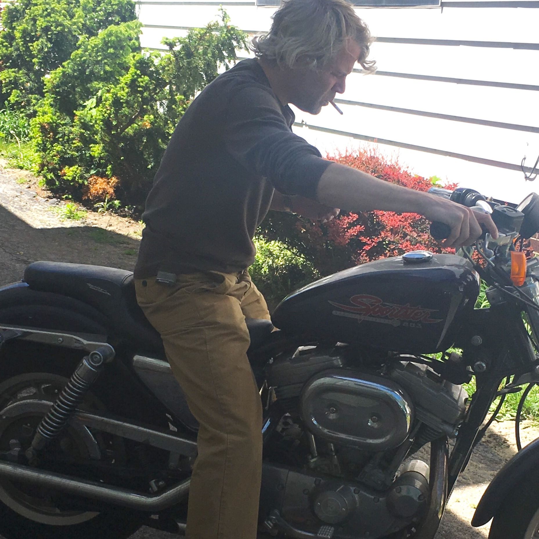 Profile of Craig Wittman