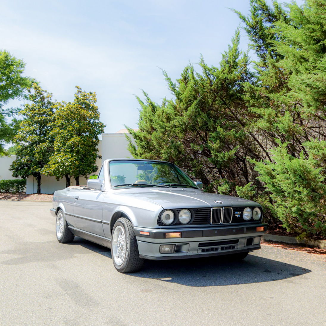 Profile of Brad Sargent