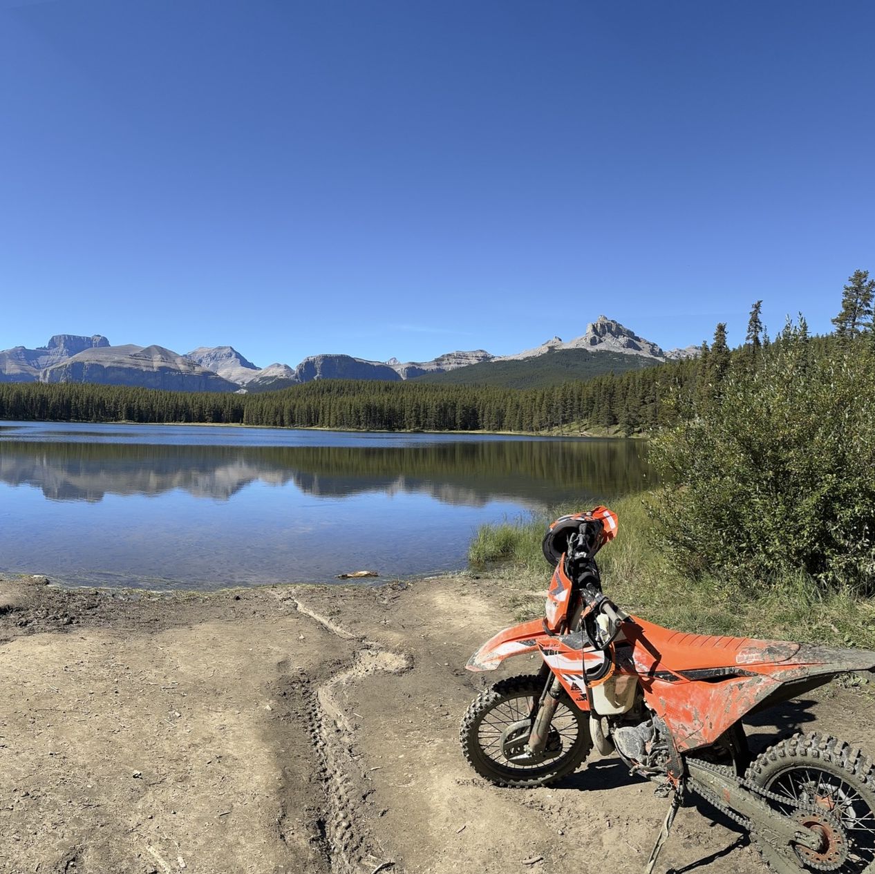 Profile of Austyn Nelson