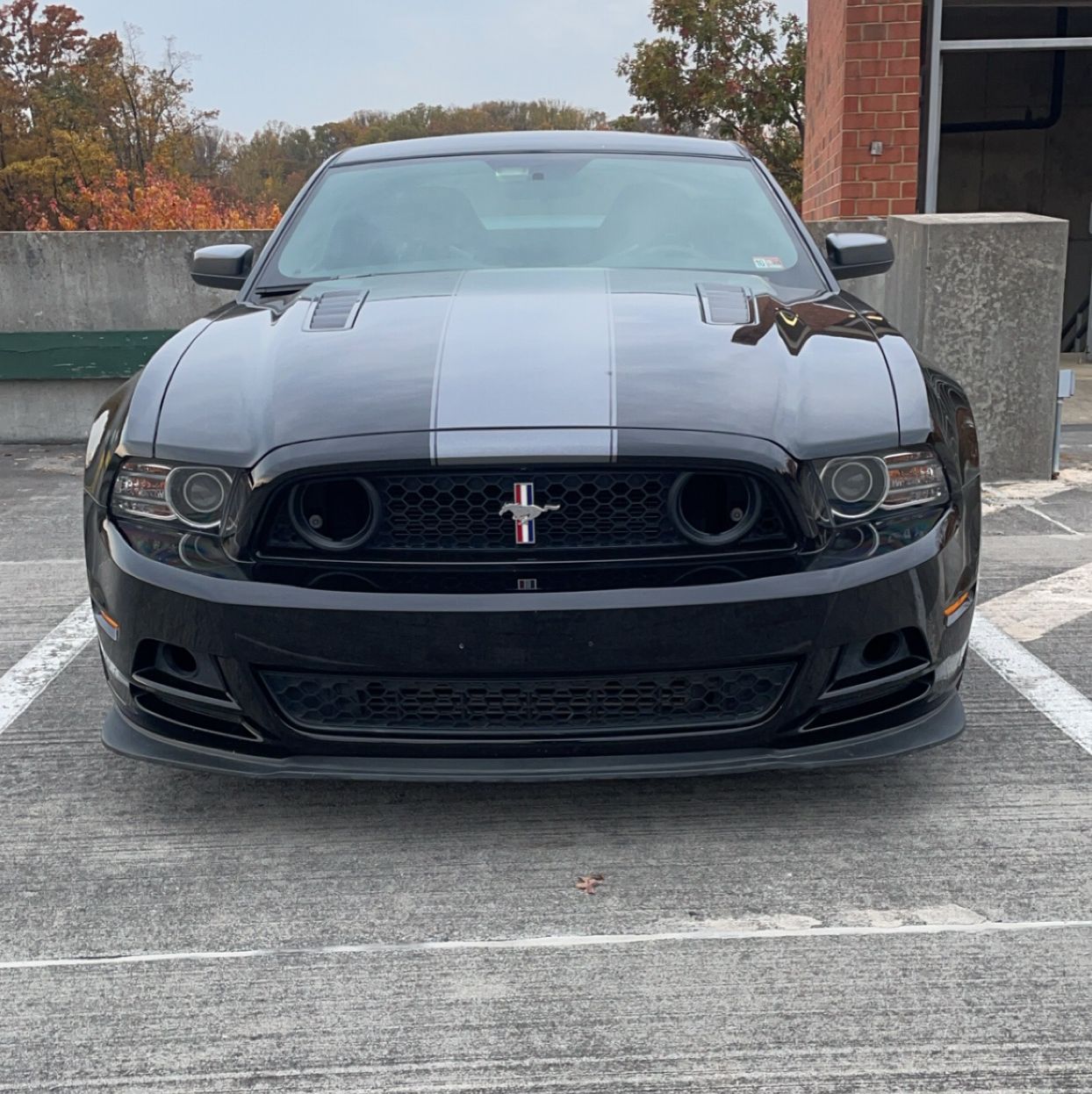 Profile of Nicholas Maskalenko