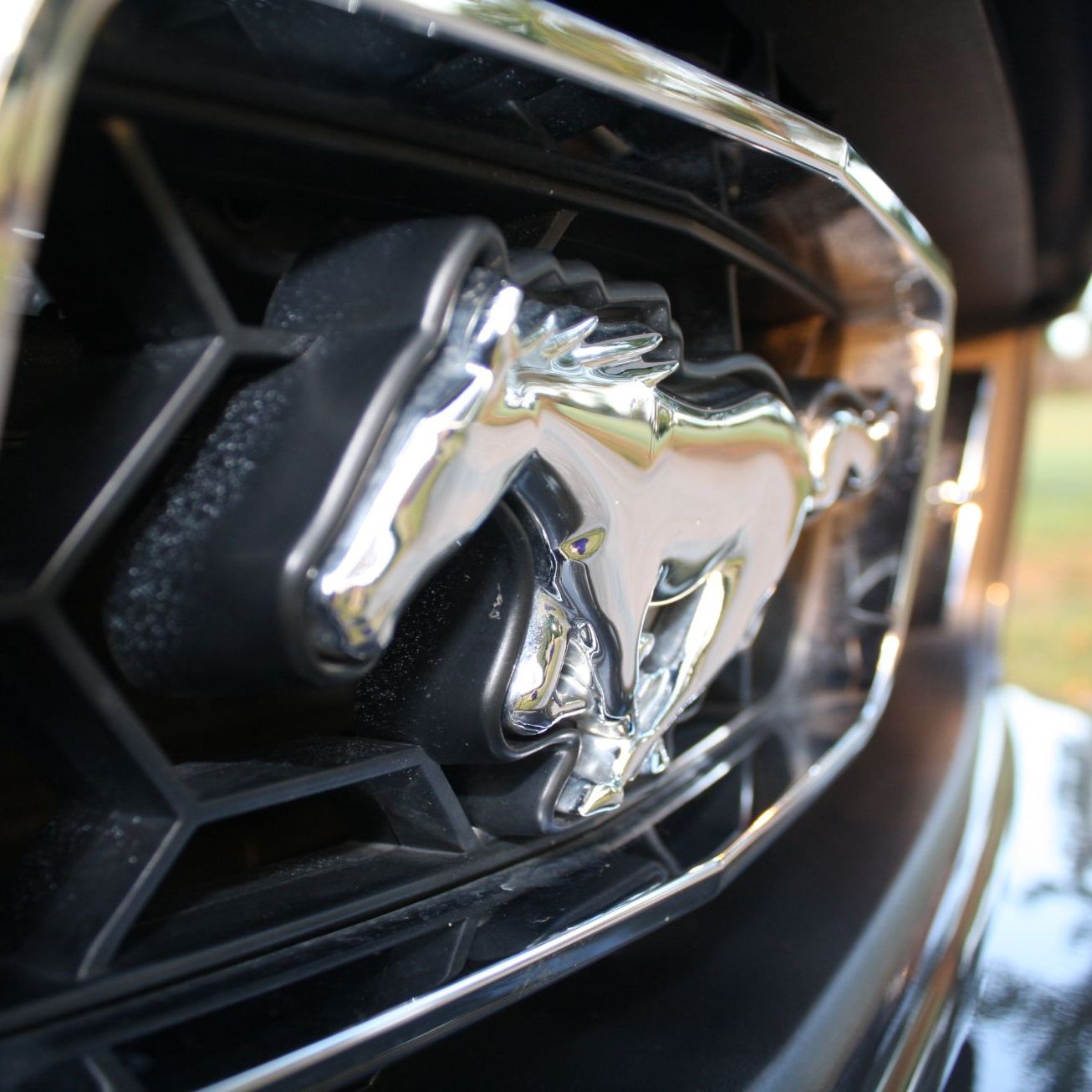 Profile of Josh Patrilak