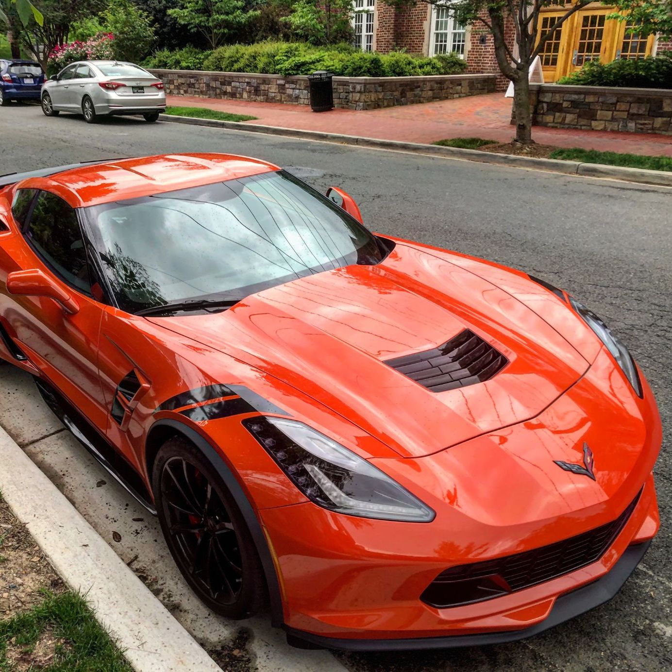 Profile of Thorne Ransom