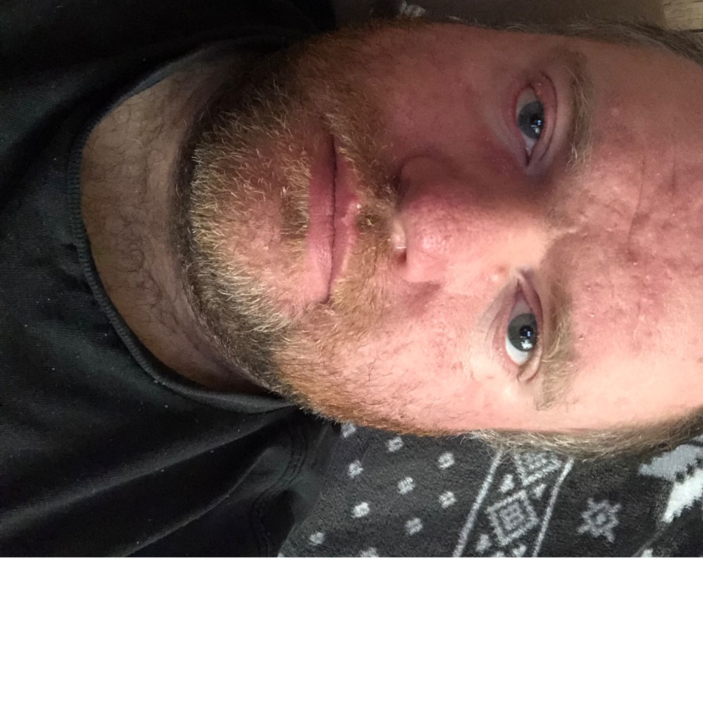 Profile of Scott Nicholson Jr