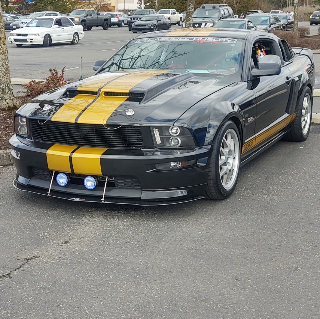 Profile of Phil Westberg