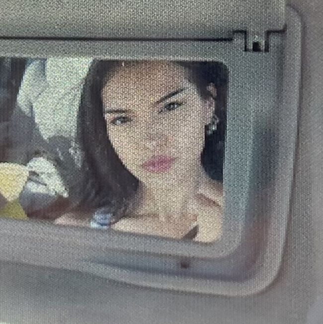 Profile of Flowers Flores