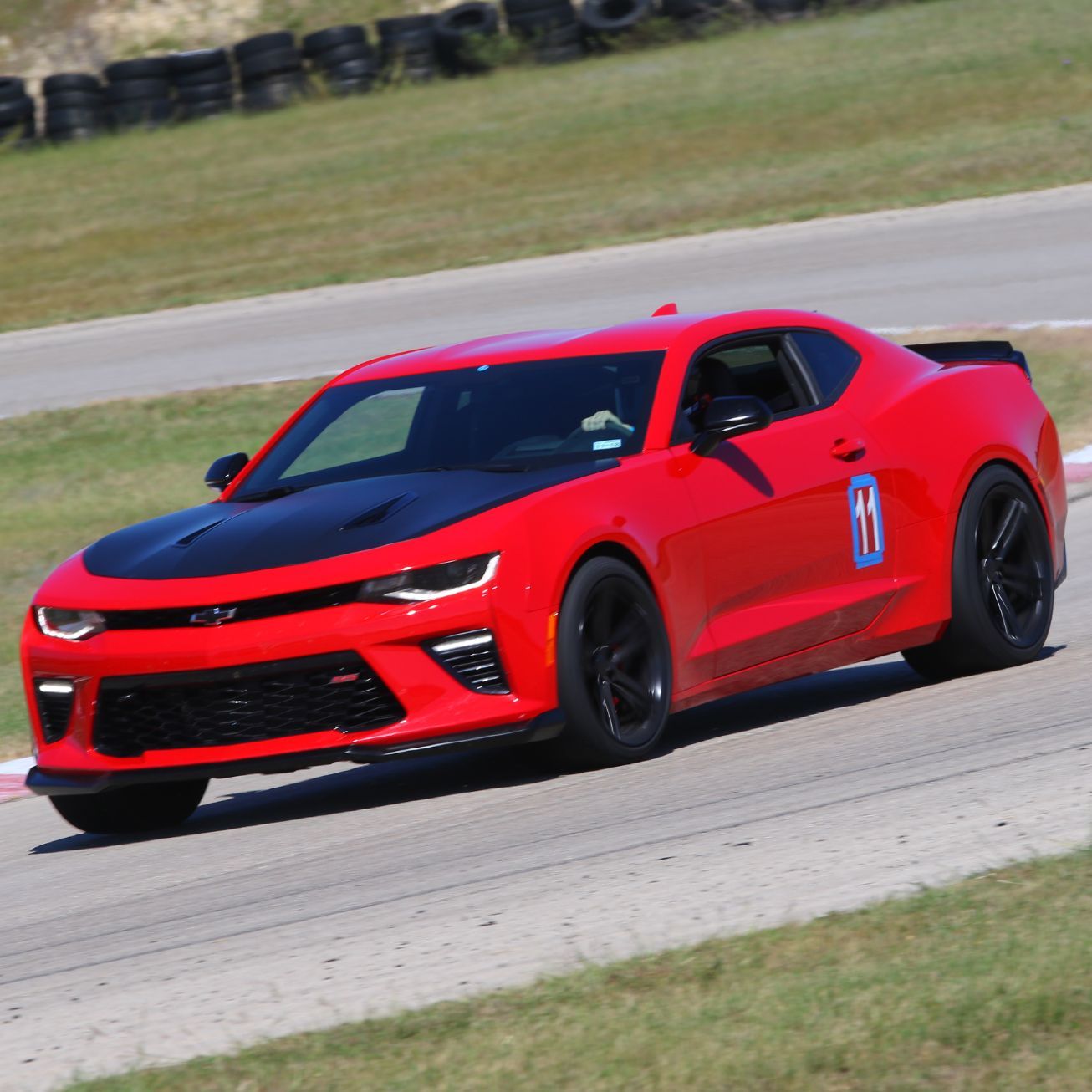 Profile of Mark Whitten