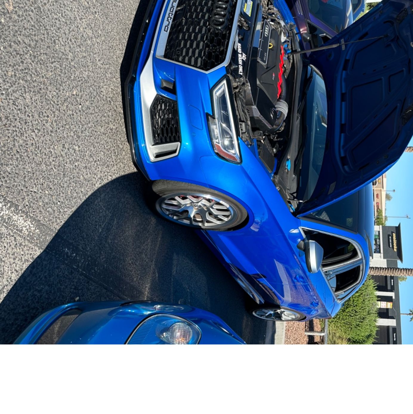 Profile of Peter Scheren