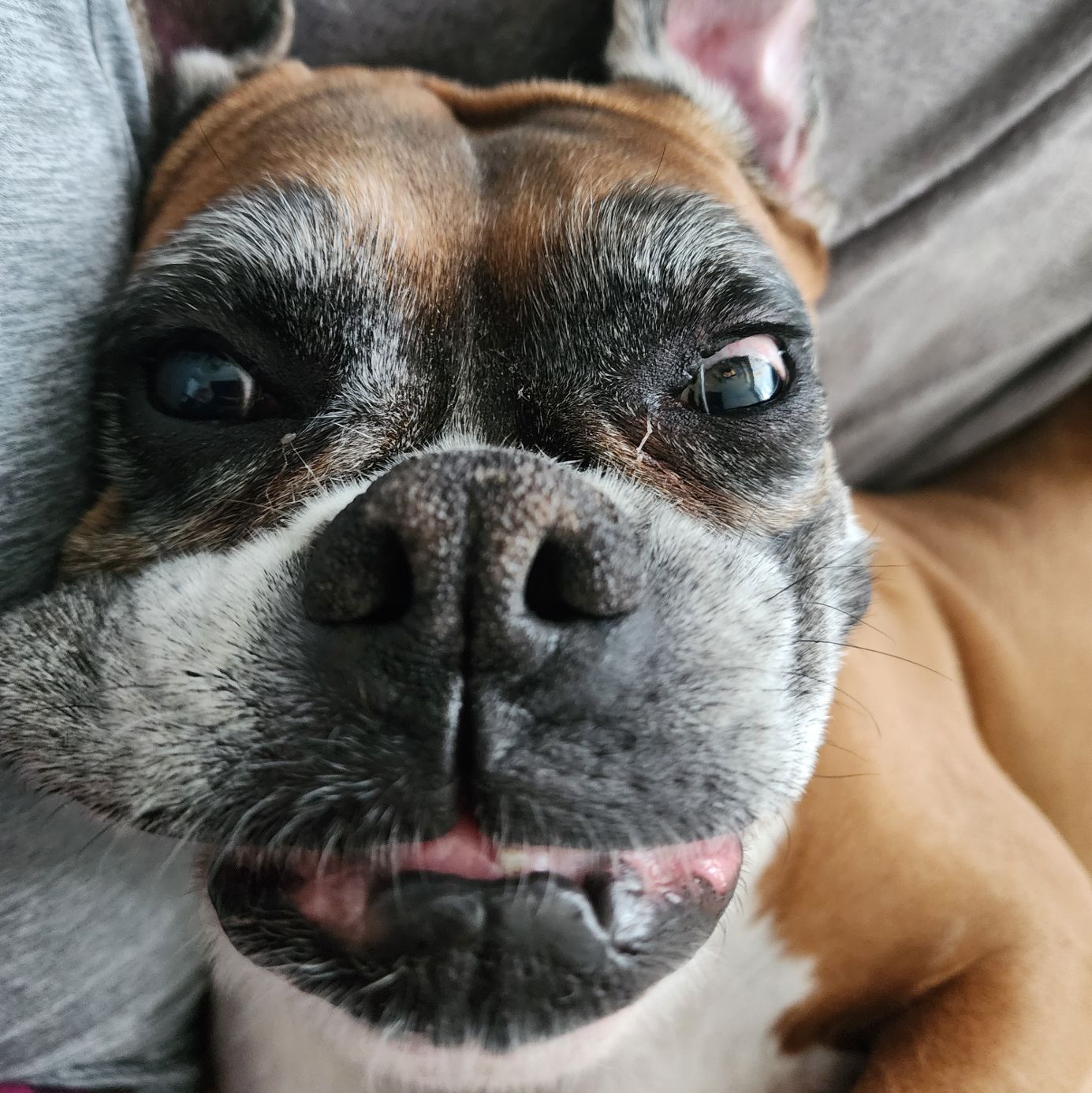 Profile of Alexis Wang