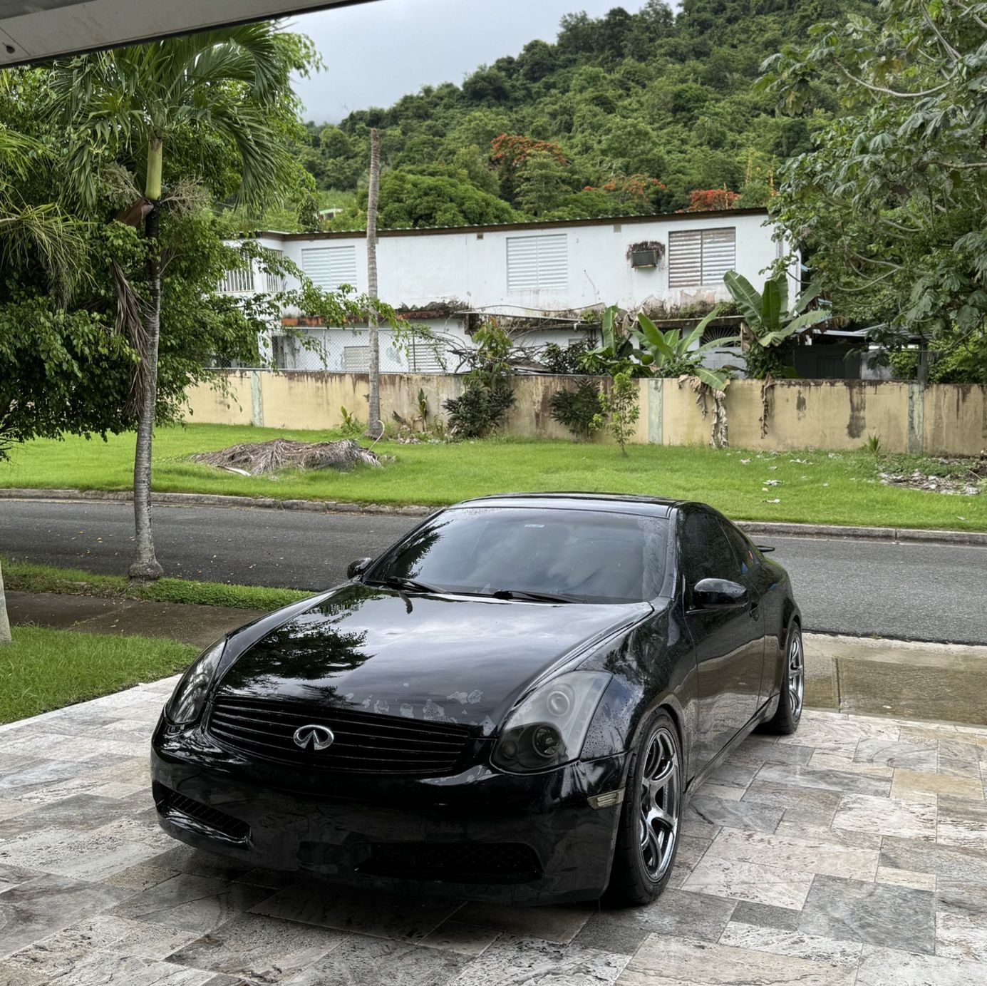 Profile of Luis Alicea