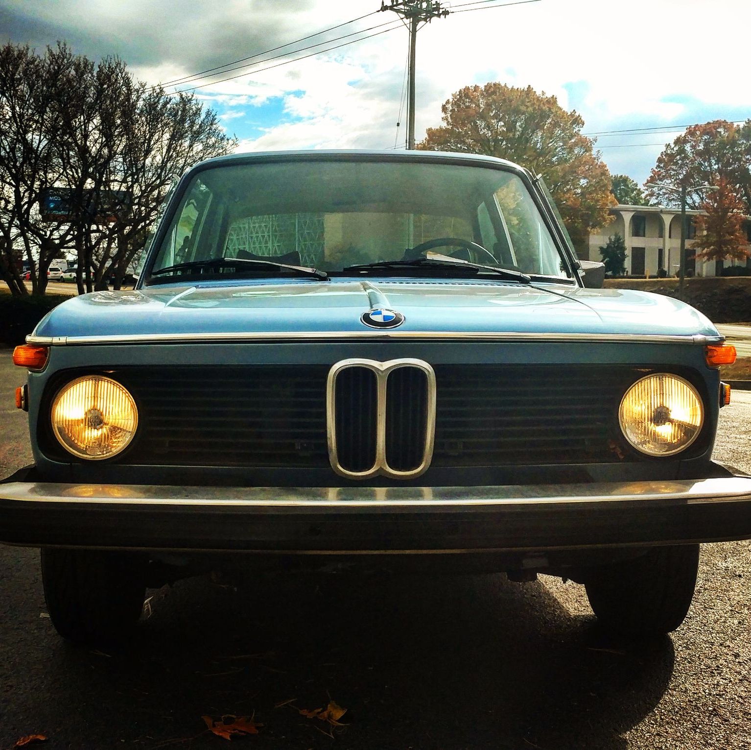 Profile of Adam Nitti