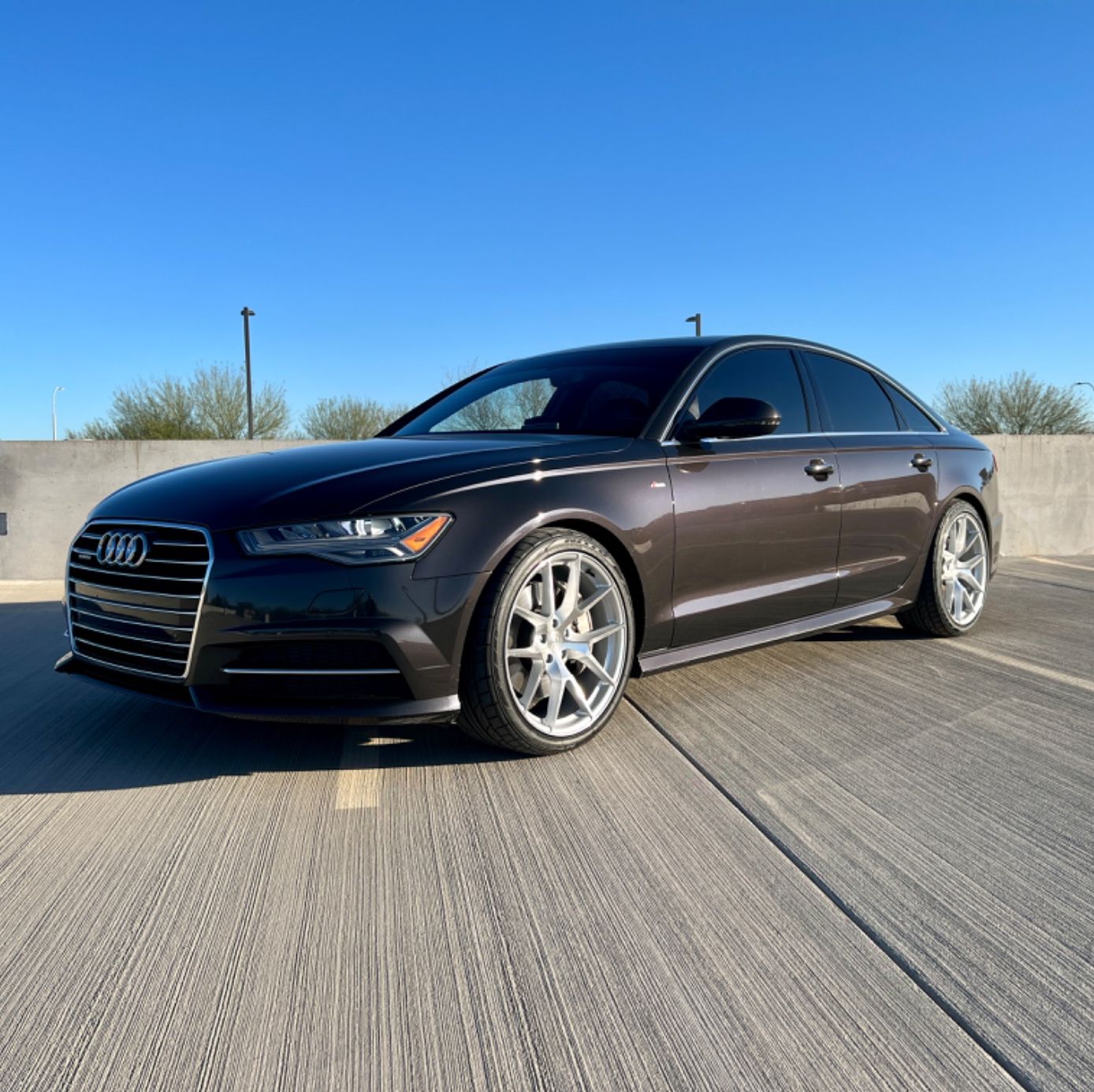 Profile of Josh Chamuler