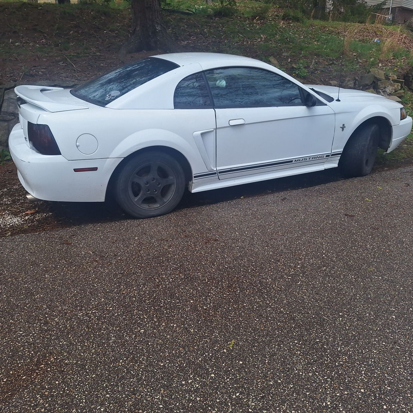 Profile of Dane Dudzik