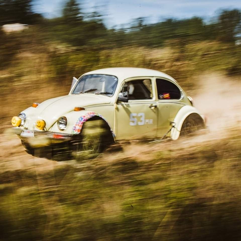 Profile of Kevin McAtee