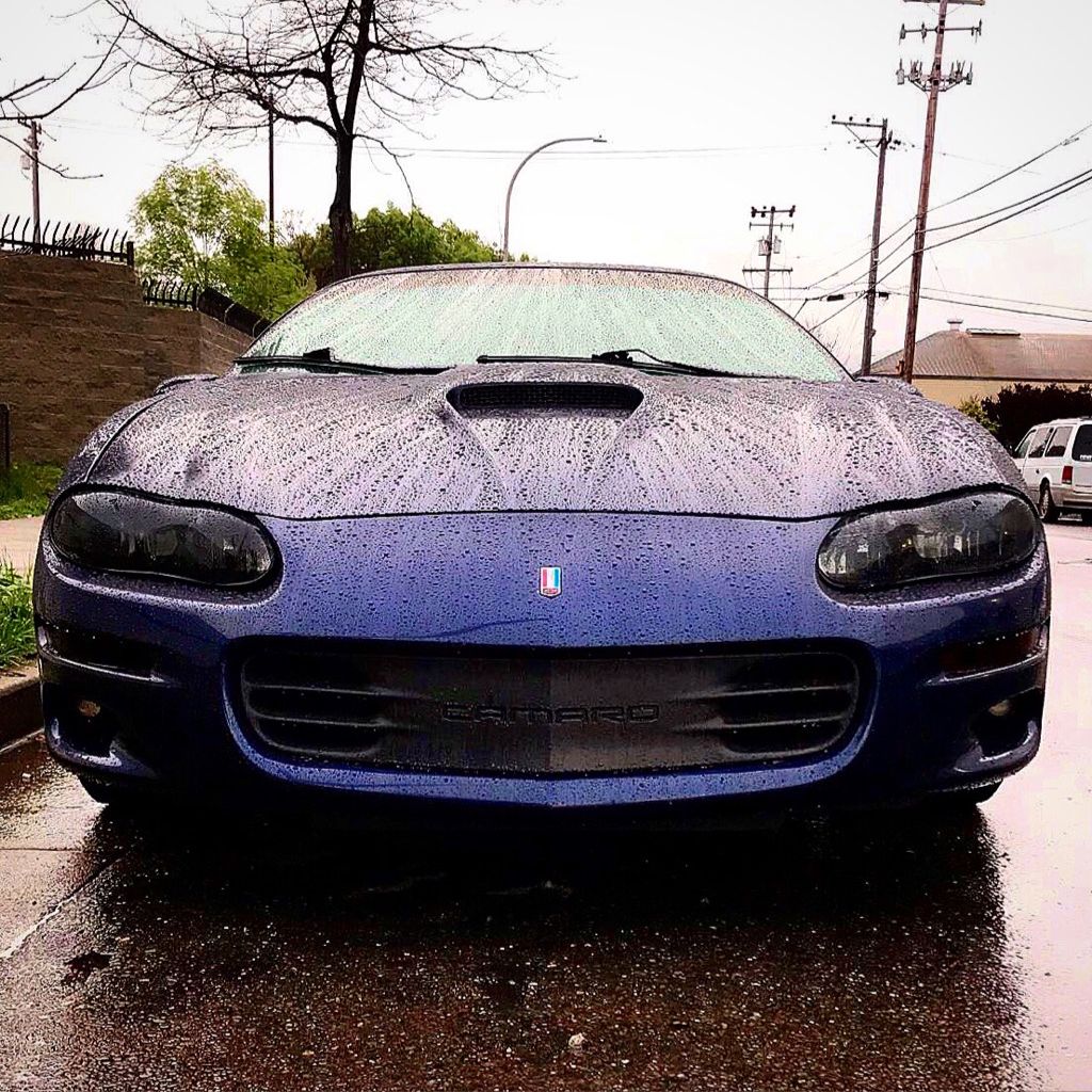 Profile of Aaron Norton