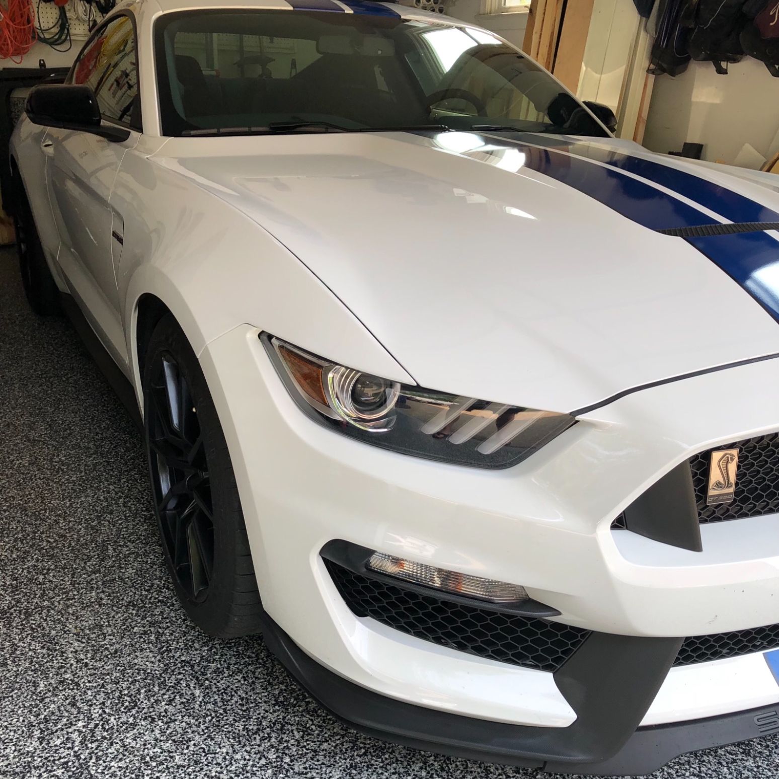 Profile of Daniel Renton