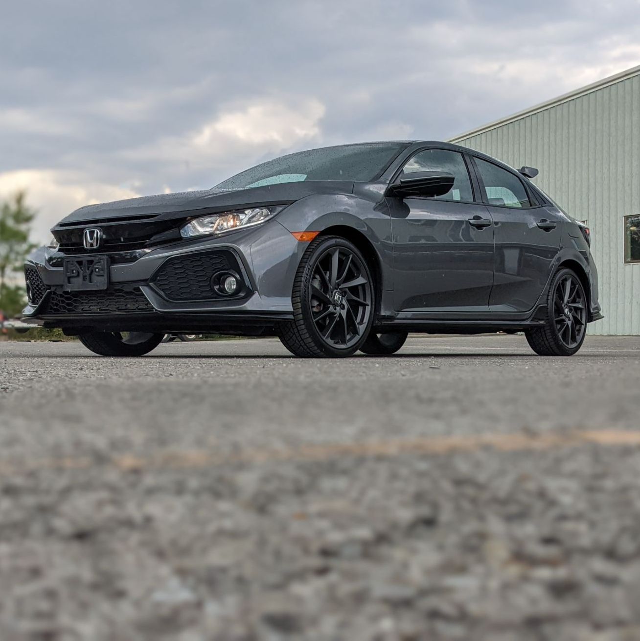 Profile of Daniel Grady