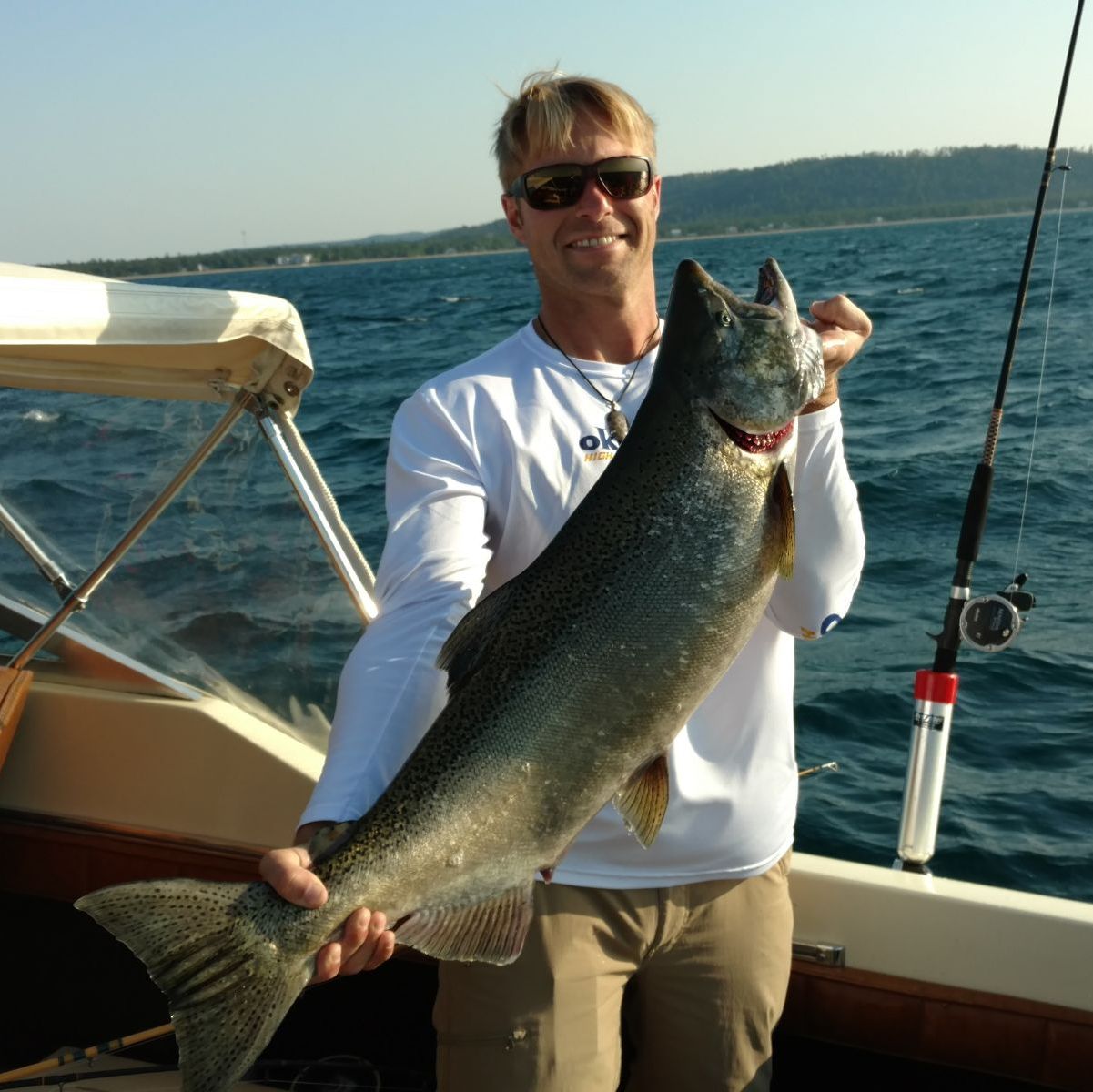 Profile of Soni Aylsworth