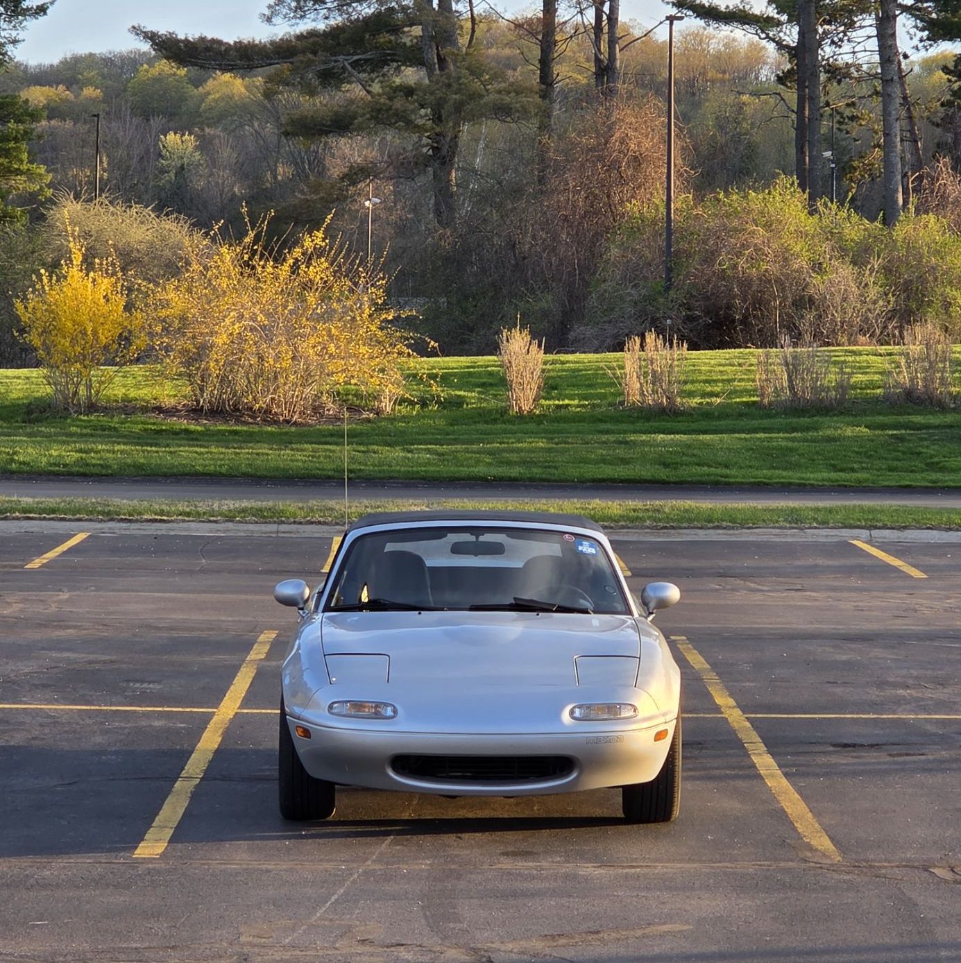 Profile of Miles Dimitrijevic