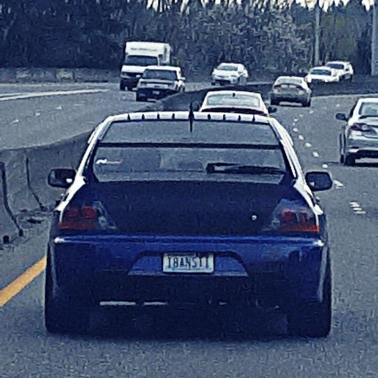 Profile of Steve Misa