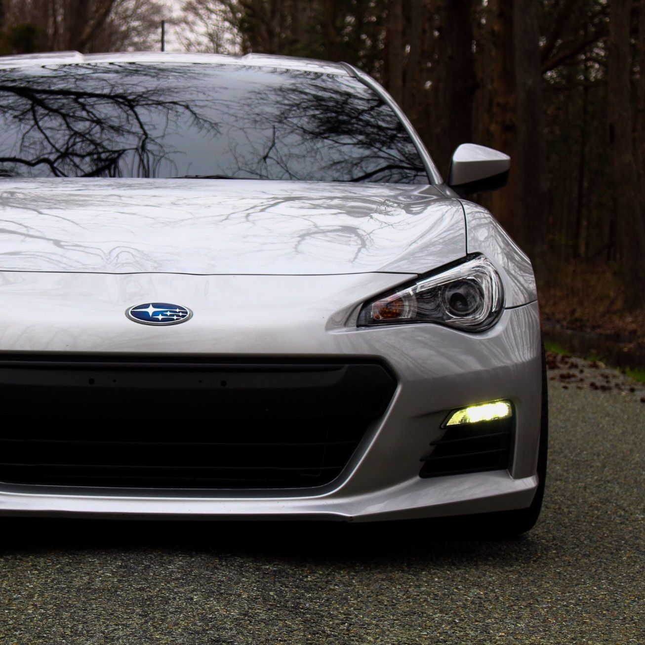 Profile of Jake Lopata