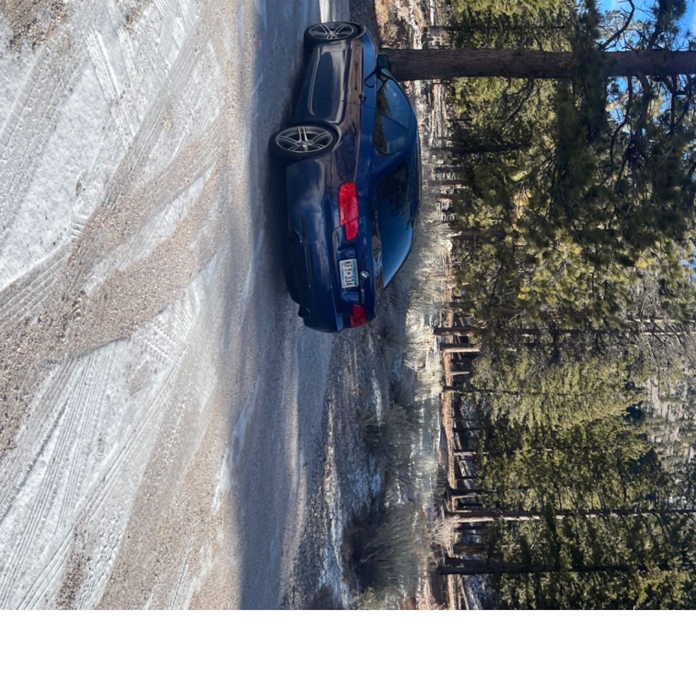 Profile of Nick Forrest