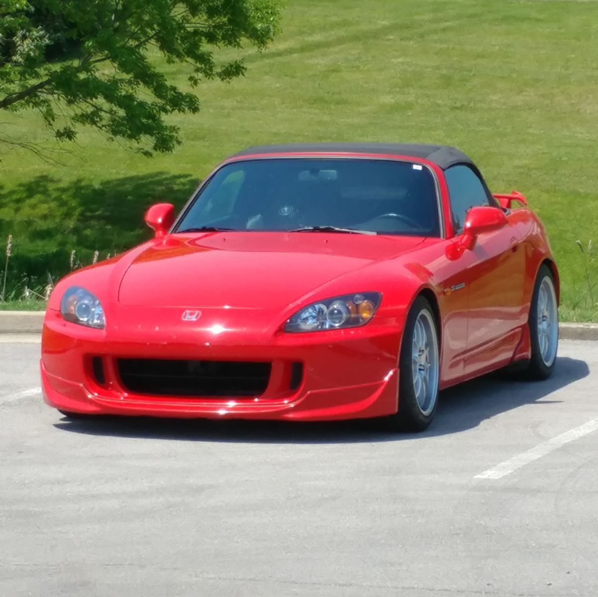 Profile of Bob Arnold