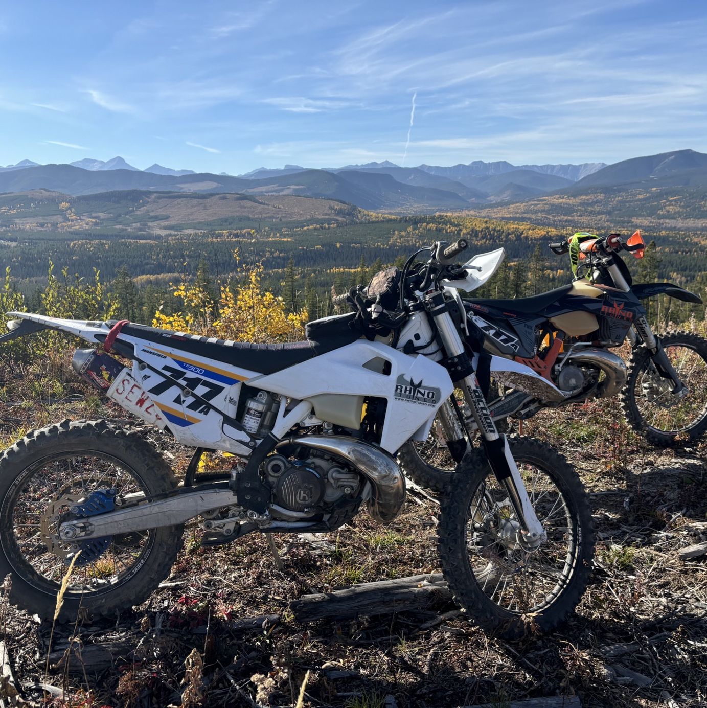 Profile of Steven Mansfield