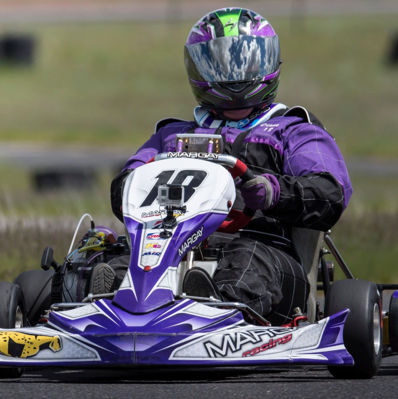 Profile of Diane Perry