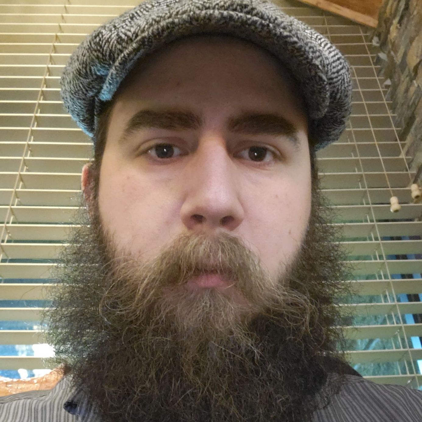 Profile of Stephen Mooney