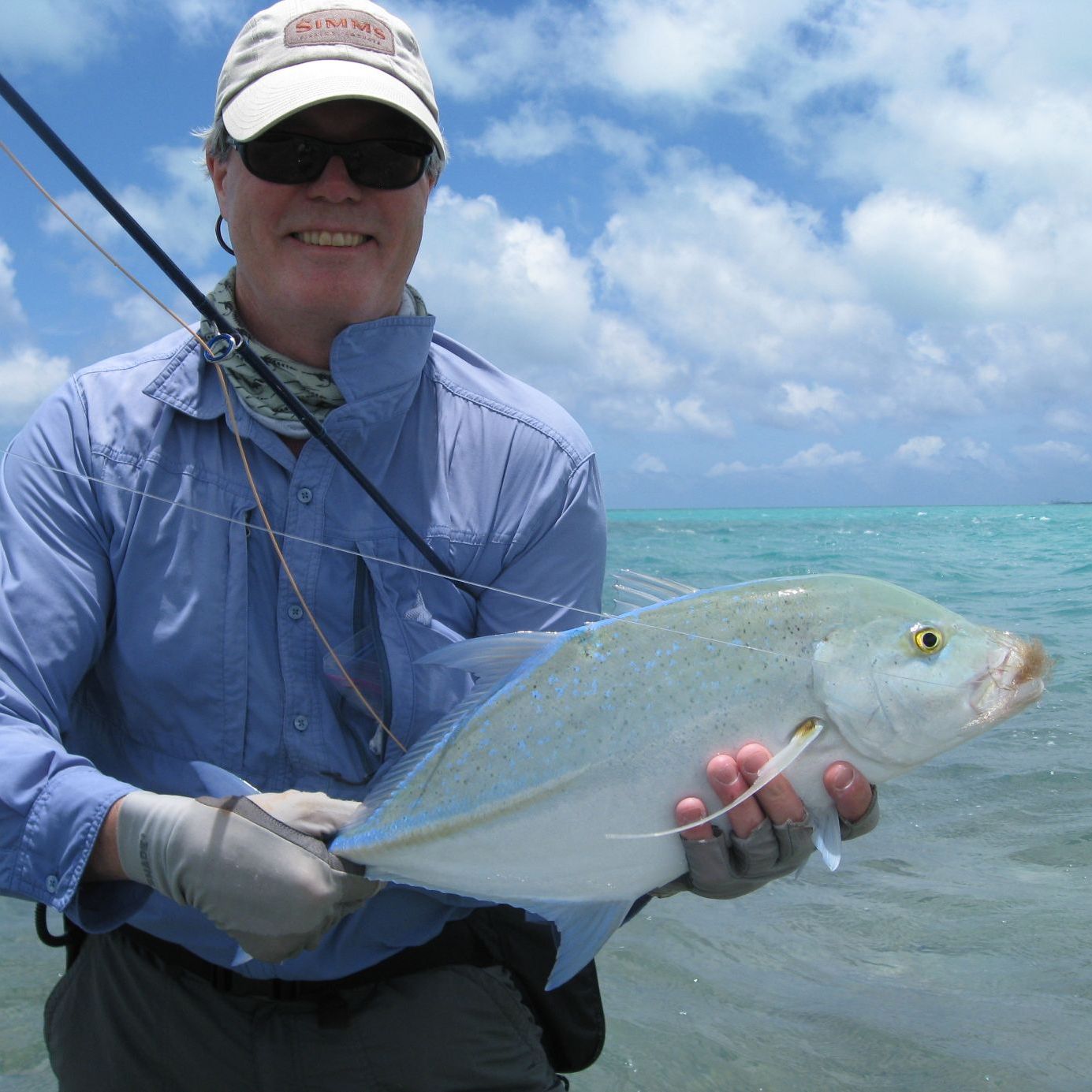 Profile of Tom Davenport