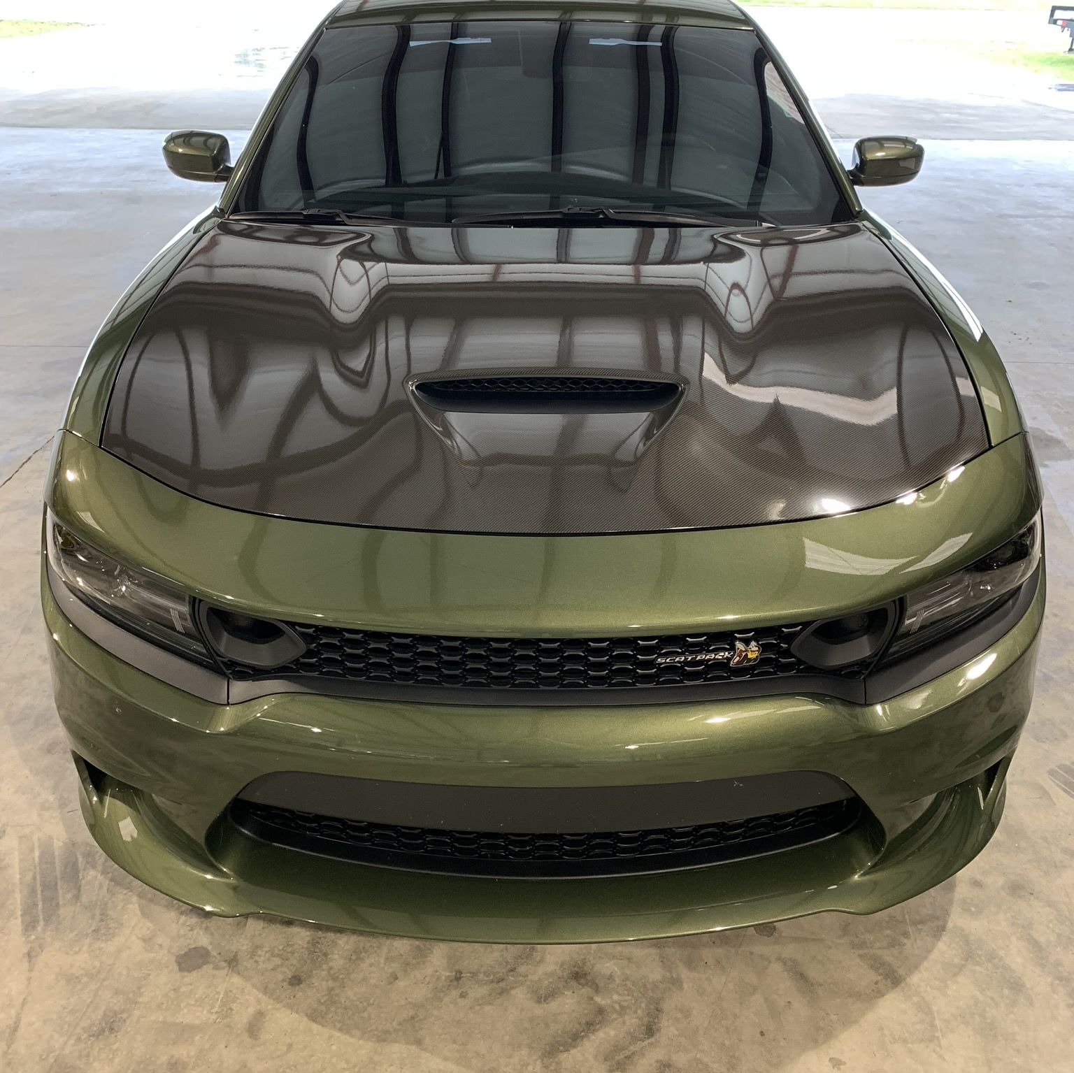 Profile of Shane Phillips