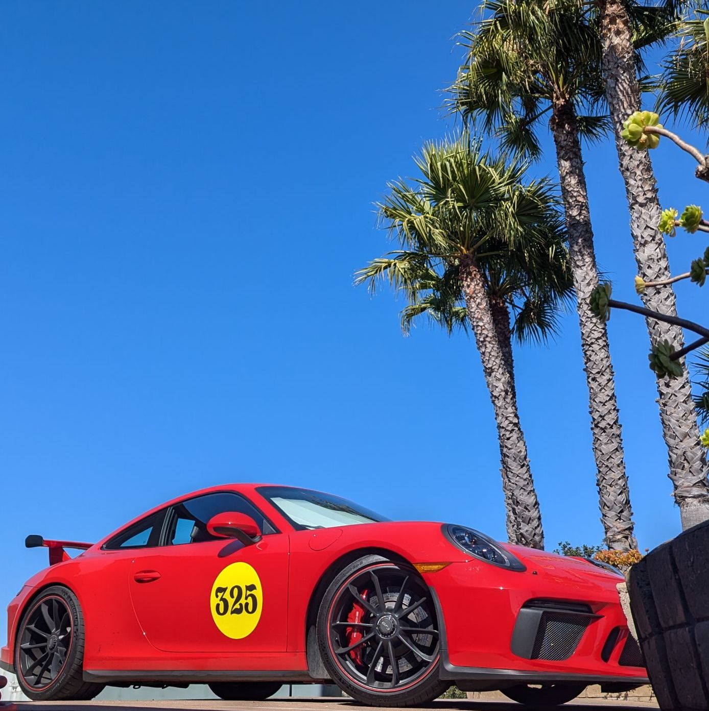 Profile of Joey L