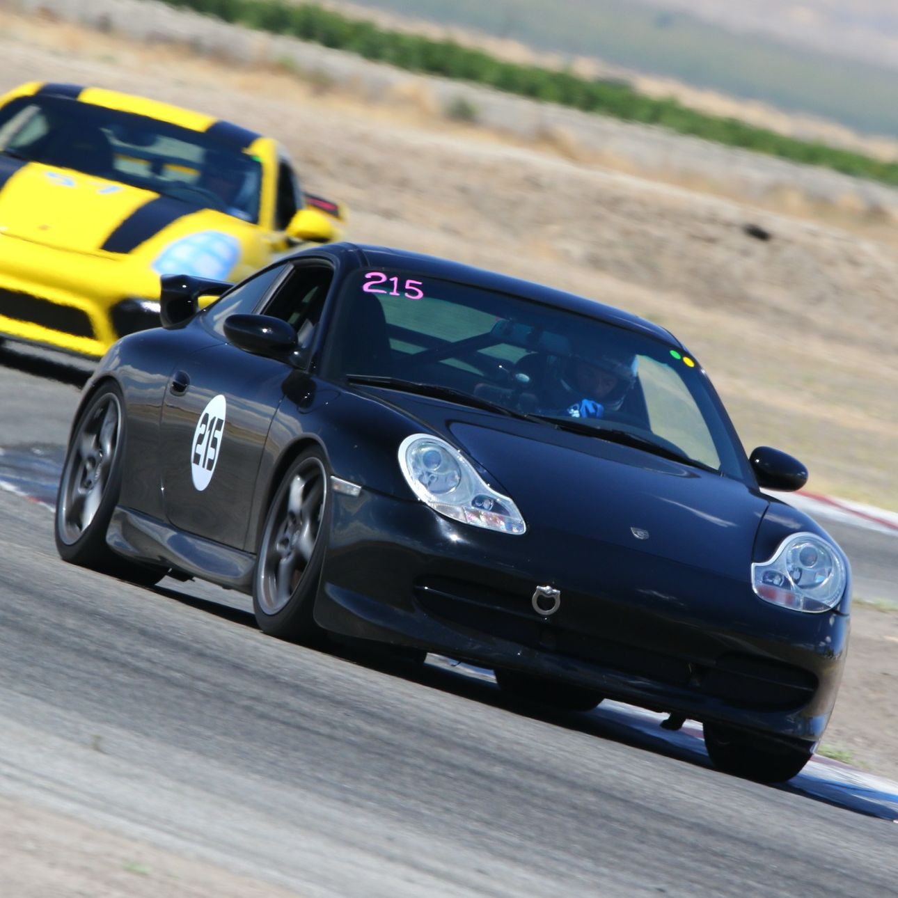 Profile of Thomas Edel