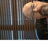 Profile of John Benham