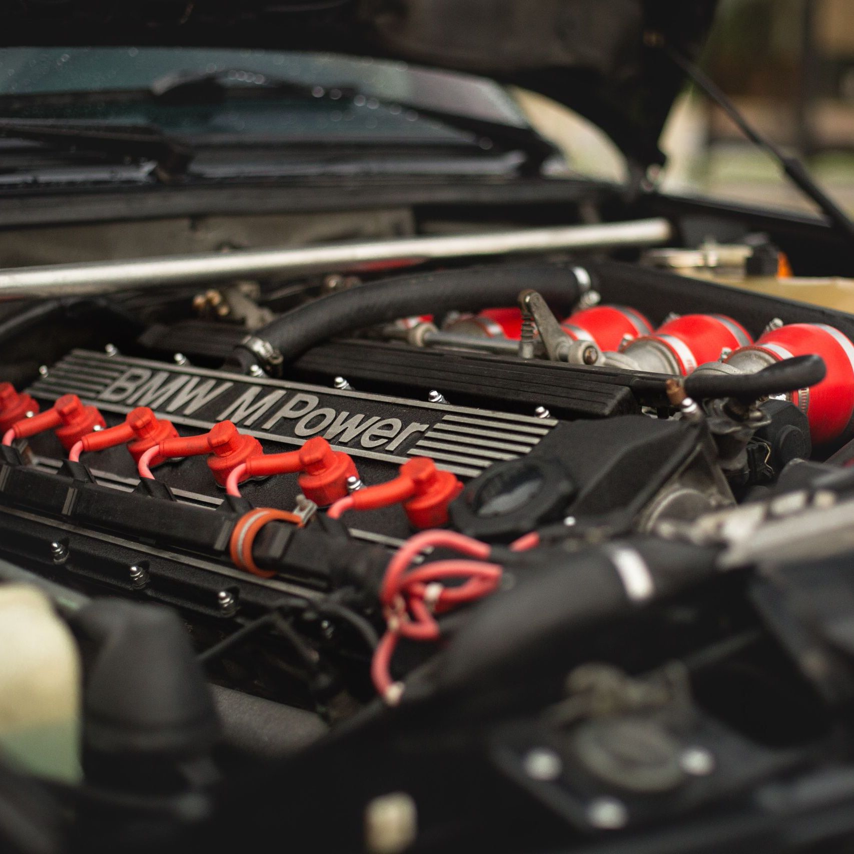 Profile of Gary Nilsen