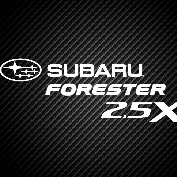 Profile of Matt Reczynski