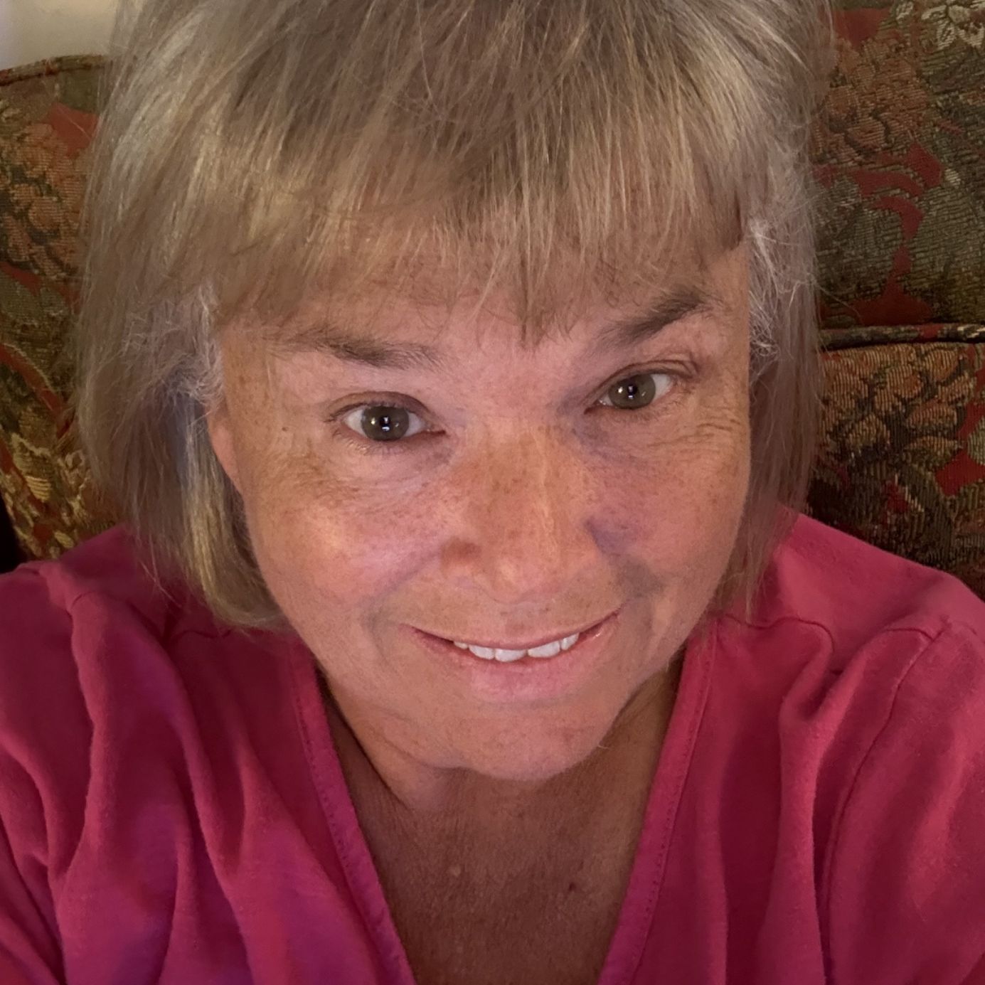 Profile of Lisa Courtney