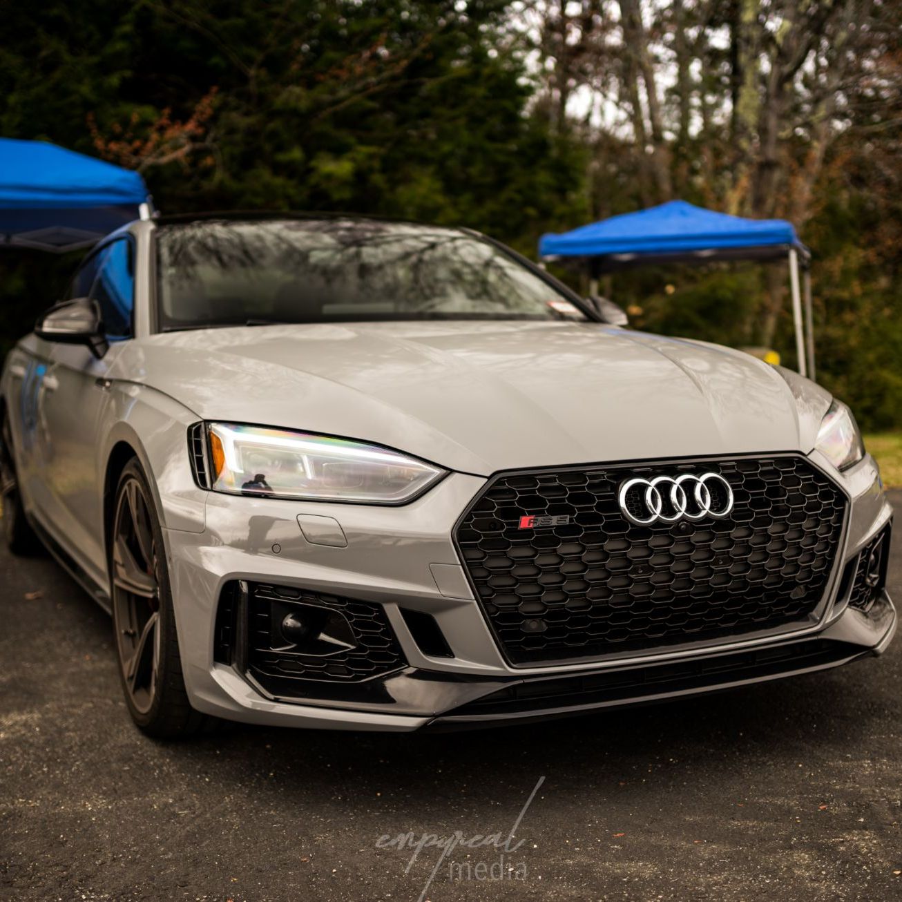 Profile of Savannah Vallier