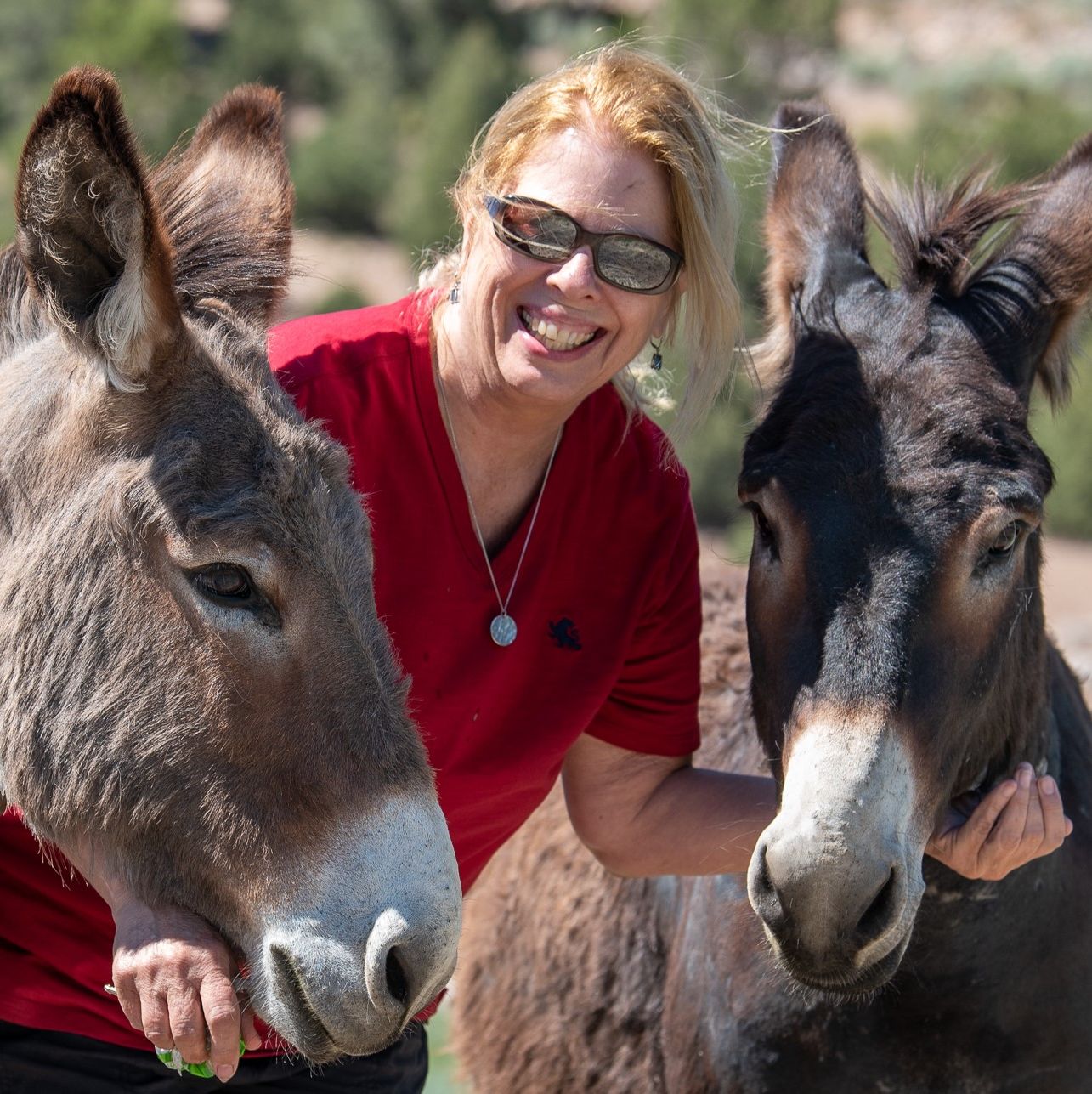 Profile of Audre Stubbs