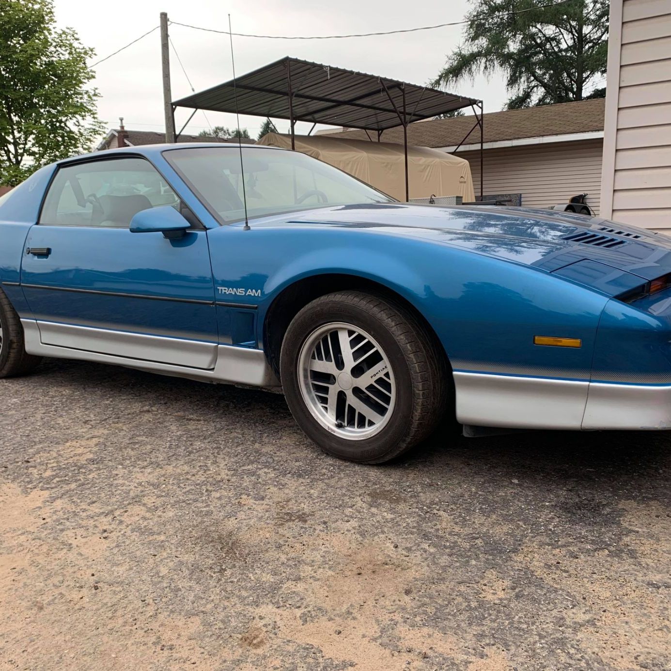 Profile of Chris Manzo