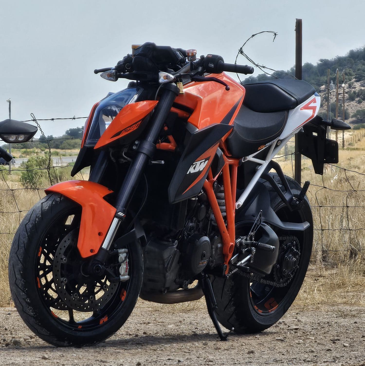 Profile of Alexander Romero