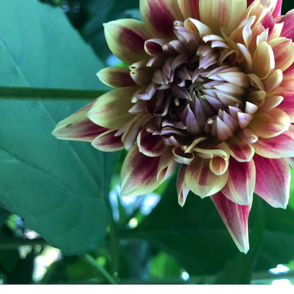 Profile of Tobin Stephens