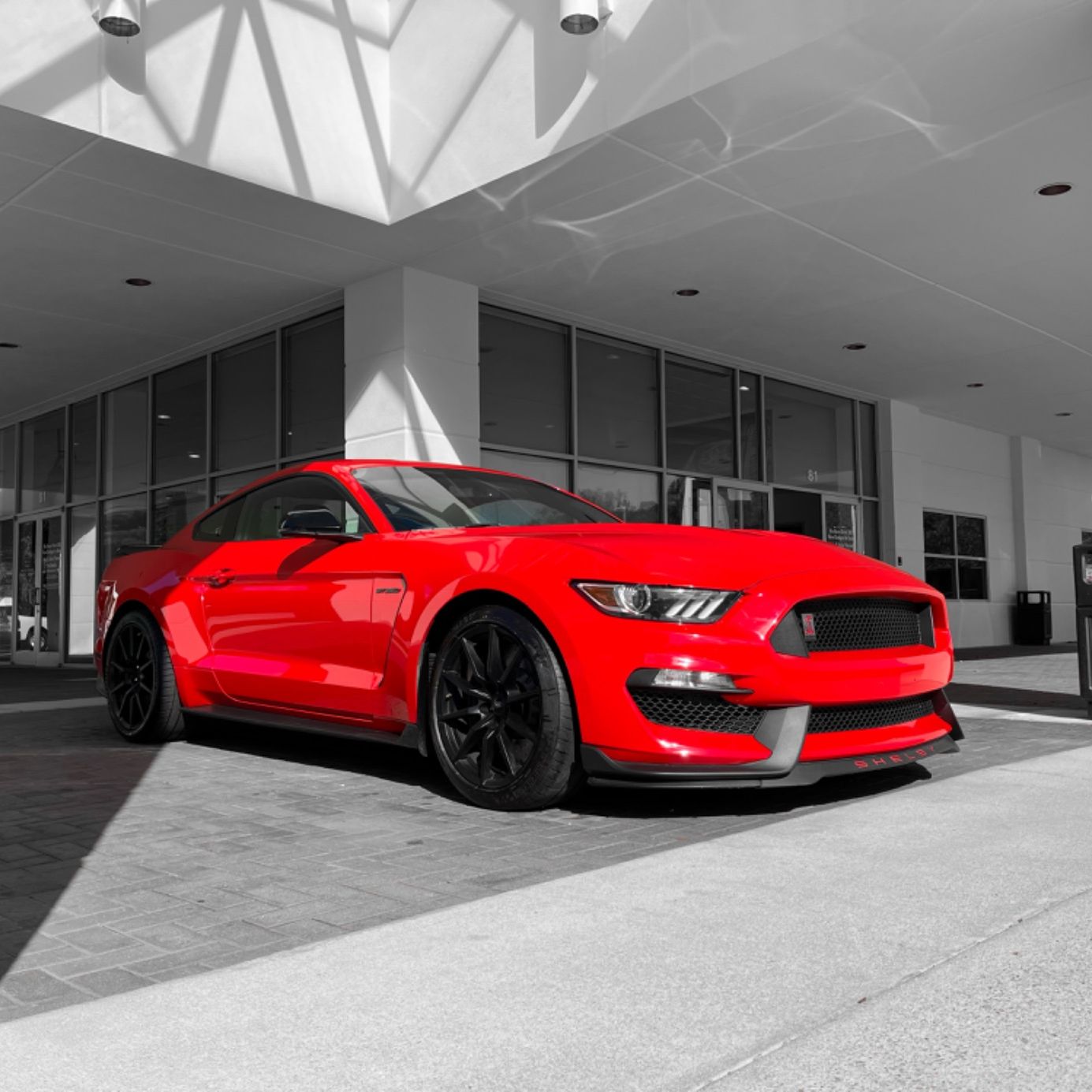 Profile of Marc Collins