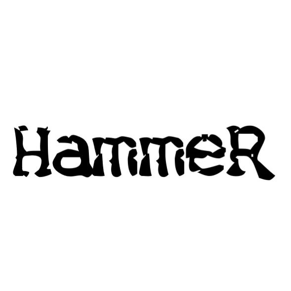Profile of Team Hammer-Motorsports