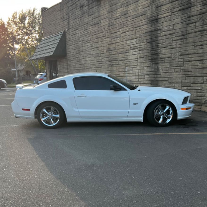 Profile of Jordan Miland