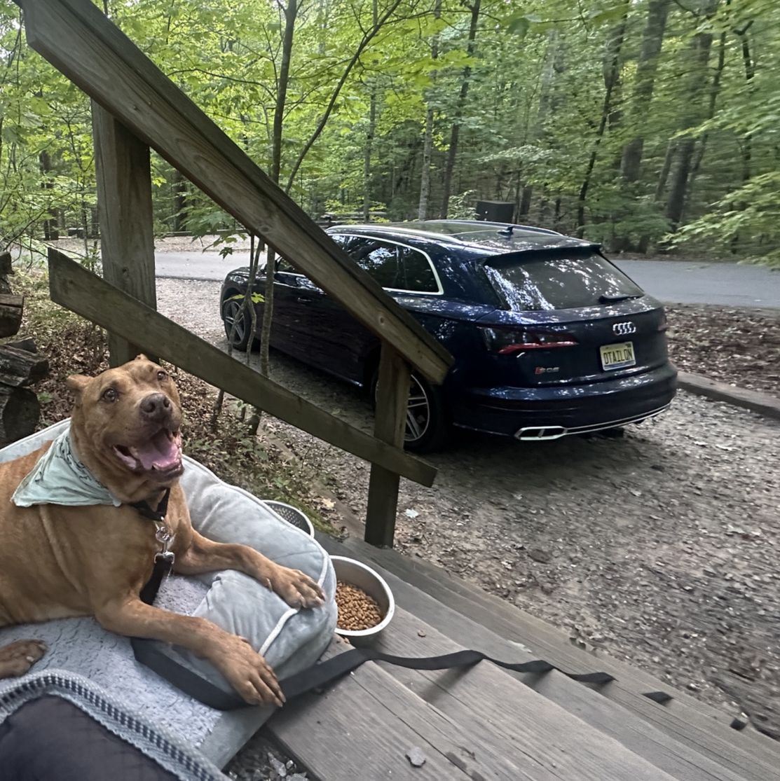 Profile of Verena Buss