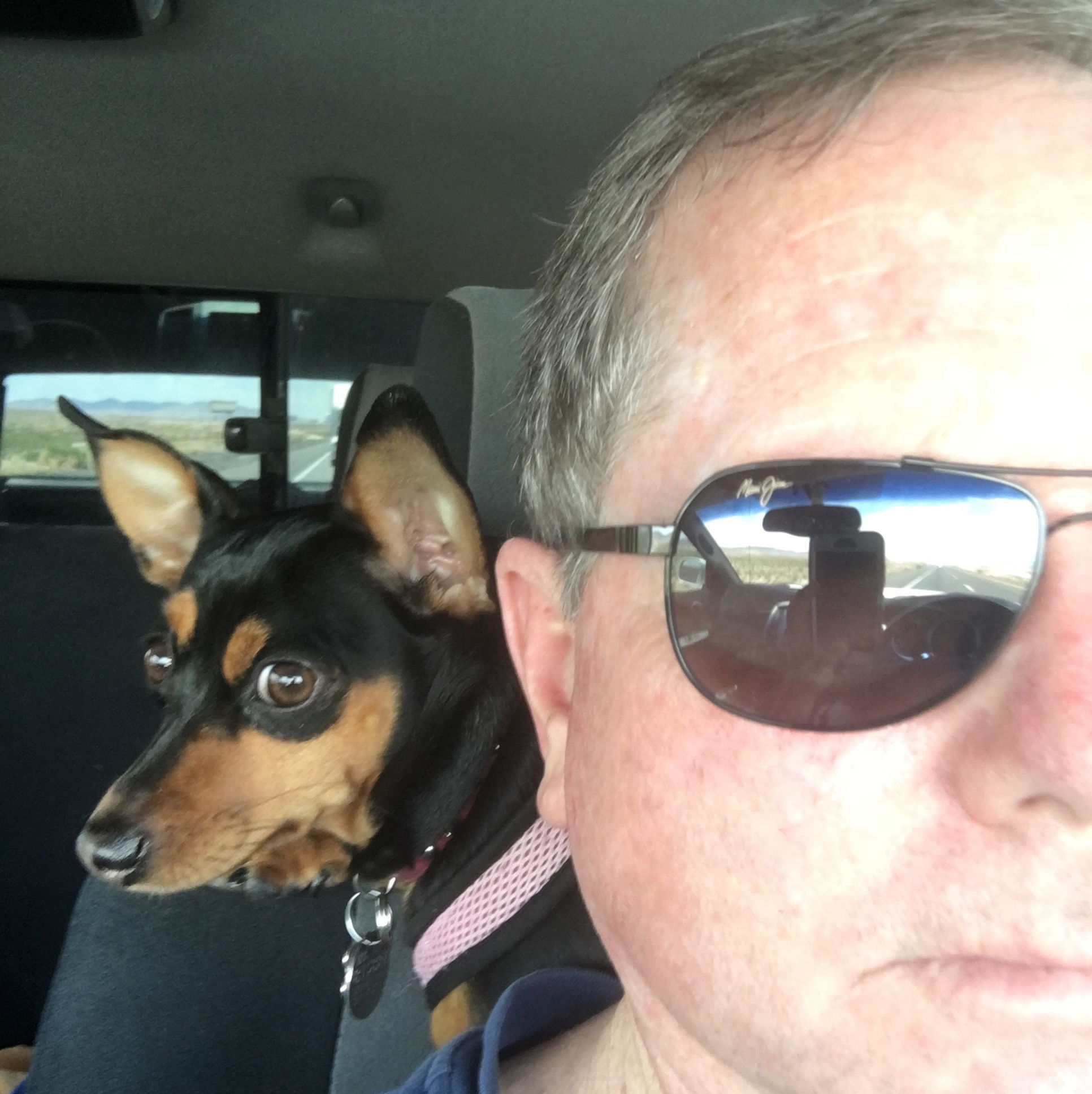 Profile of Brian Carter