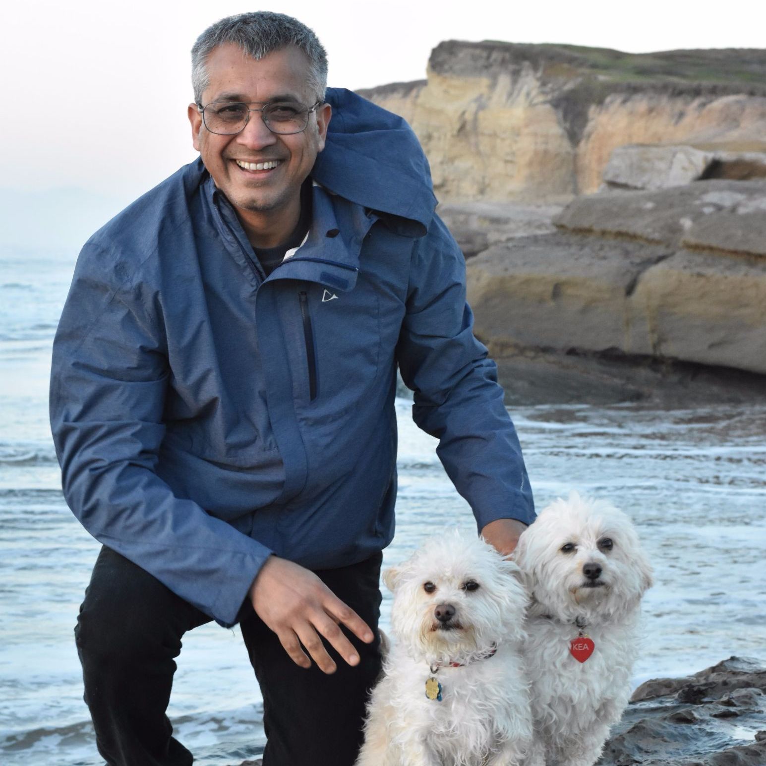 Profile of Shaibal Roy