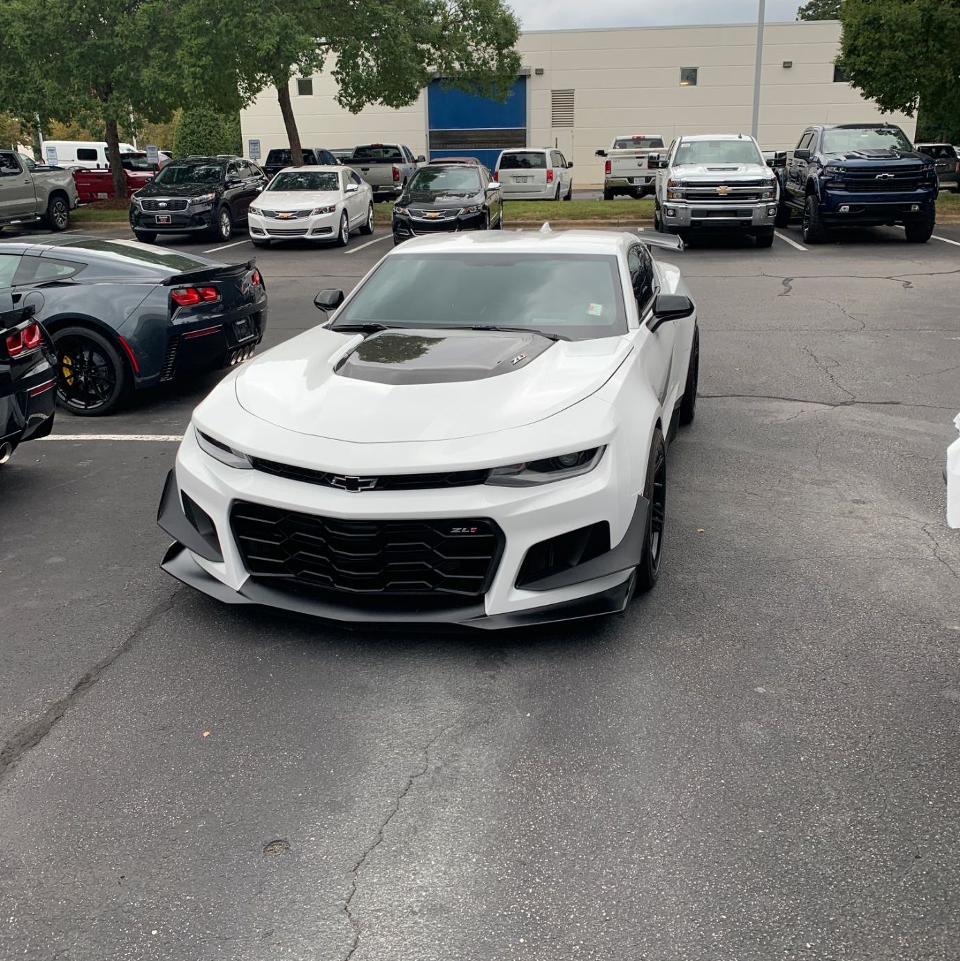 Profile of George Gomatos