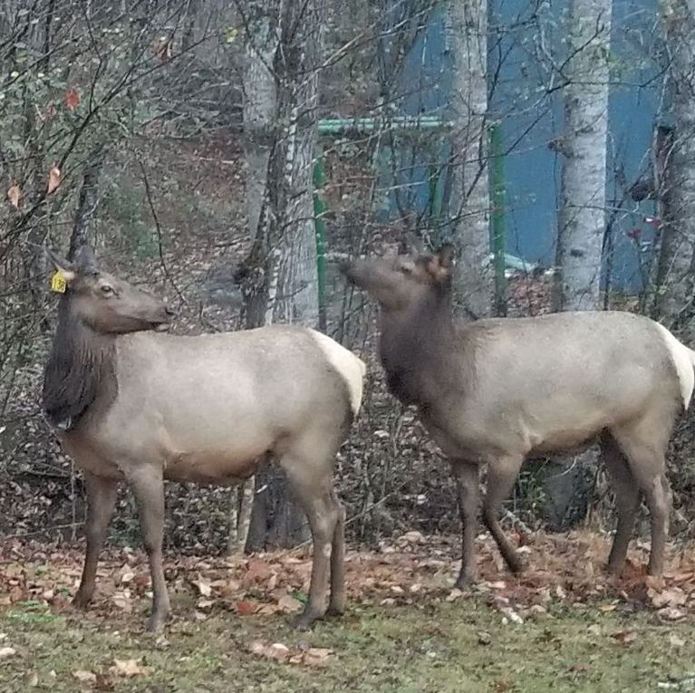 Profile of Steve Roberts